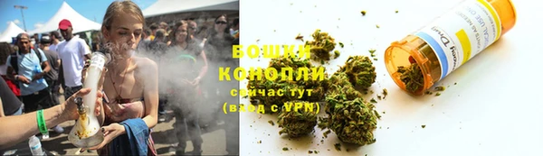 индика Великий Новгород