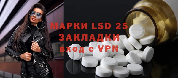 индика Великий Новгород