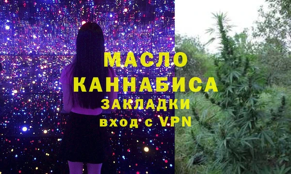 индика Анжеро-Судженск