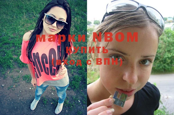 индика Великий Новгород