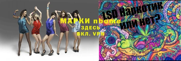 сатива Орск