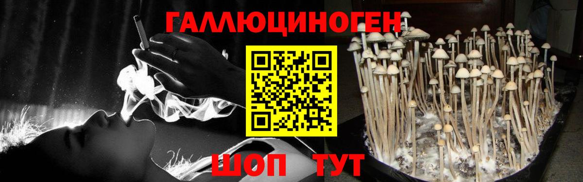 Псилоцибиновые грибы ЛСД  где найти наркотики  Белебей  Вход с VPN 